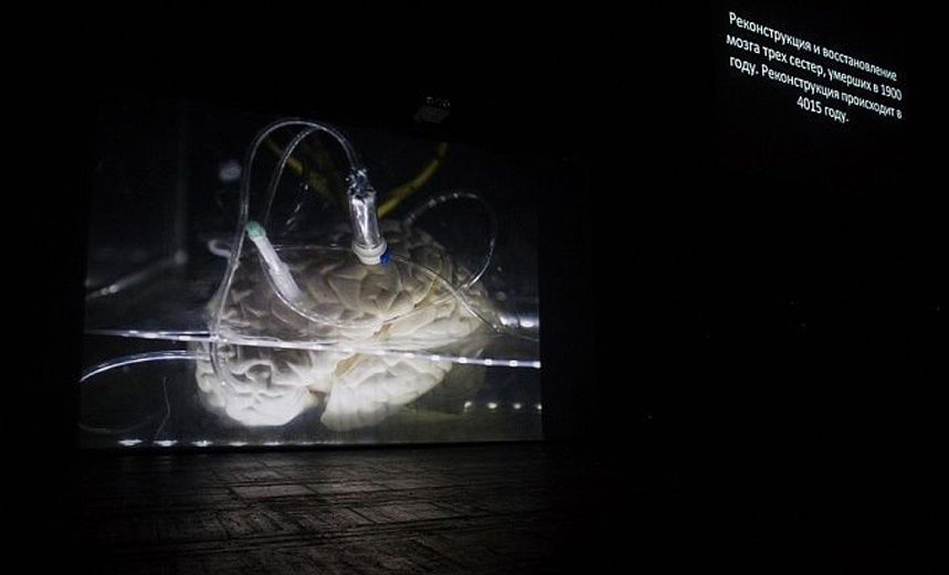 По ту сторону занавеса